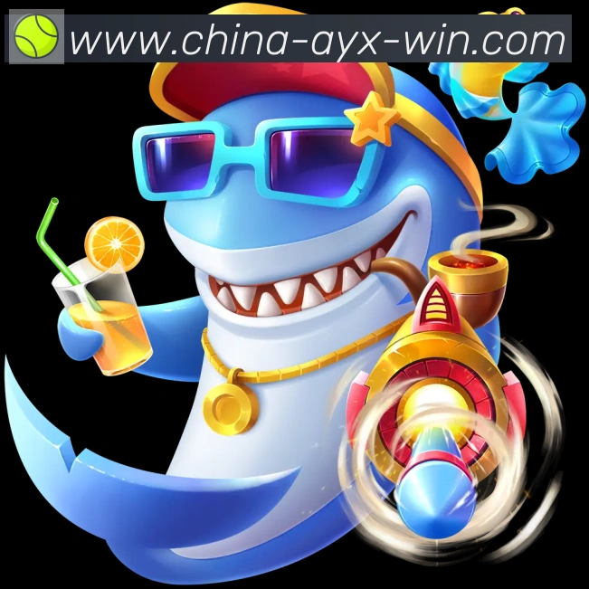 未来规划